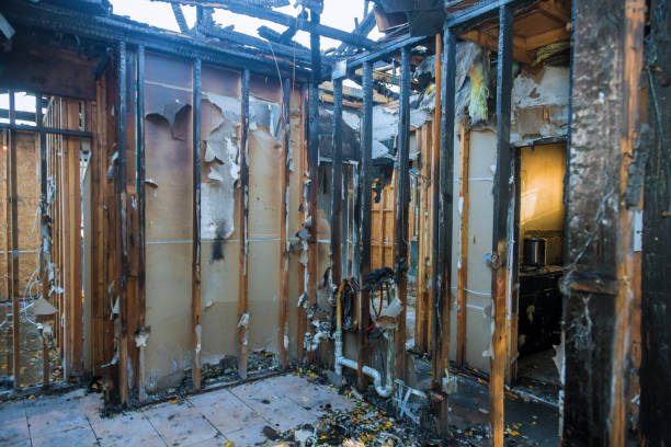 Professional Fire Damage Assessment technician working in Dothan, AL